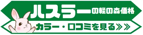 ハスラーの軽の森価格