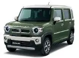 クールカーキ・ソフトベージュ