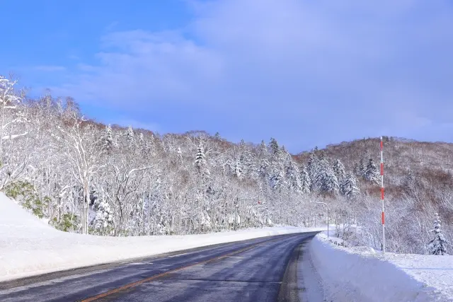 路面凍結した道路