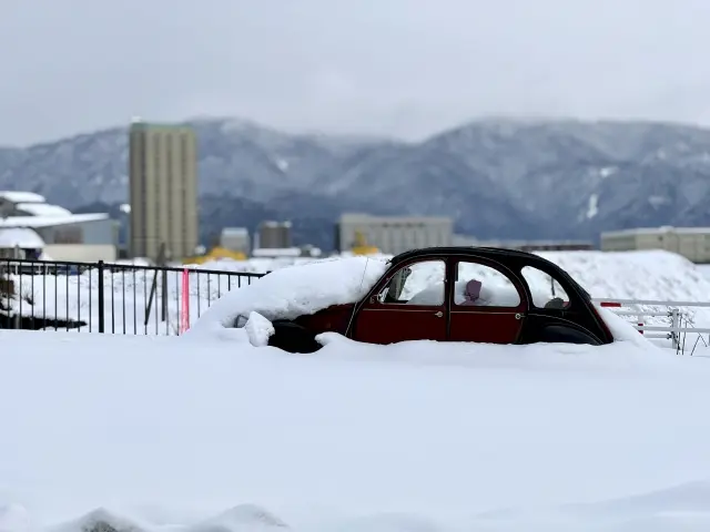 雪に埋もれる車
